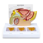 Link to Consults and Education Category